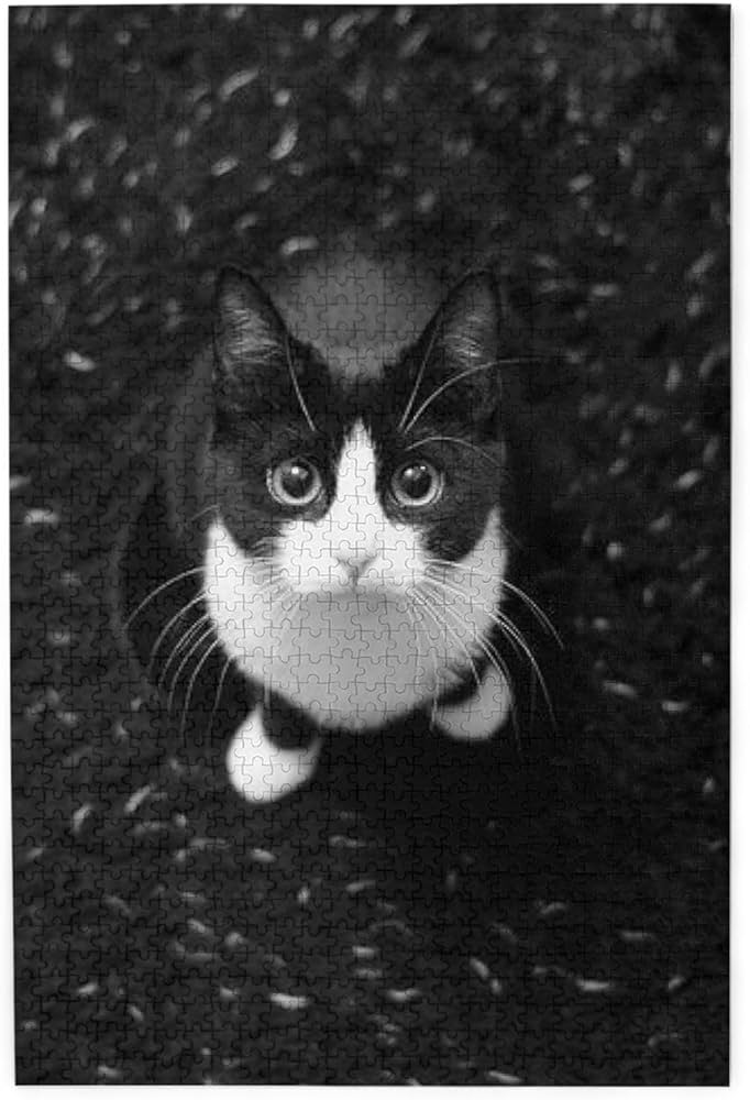 ハチワレ 子猫ちゃん sサイズ グラスアイ ハチワレ 子猫ちゃん sサイズ グラスアイ